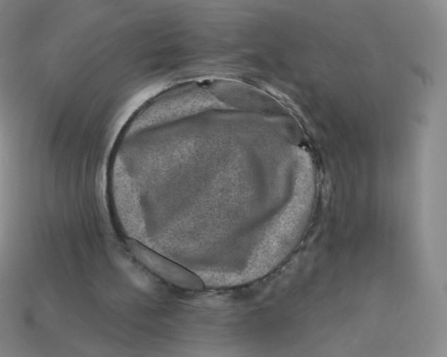 X0000113570148200910161526