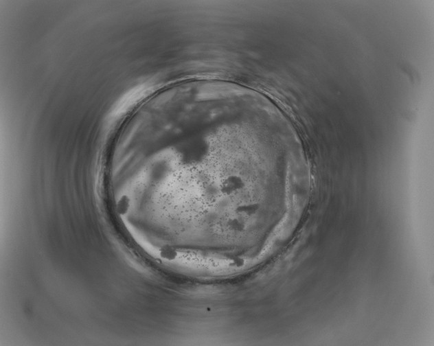 X0000113570149200910161526