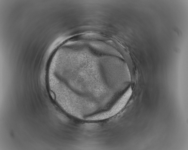 X0000113570150200910161526