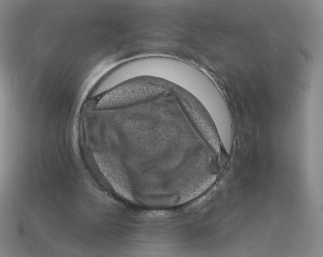 X0000113570152200910161526