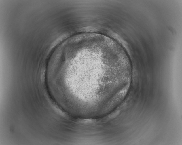 X0000113570153200910161526