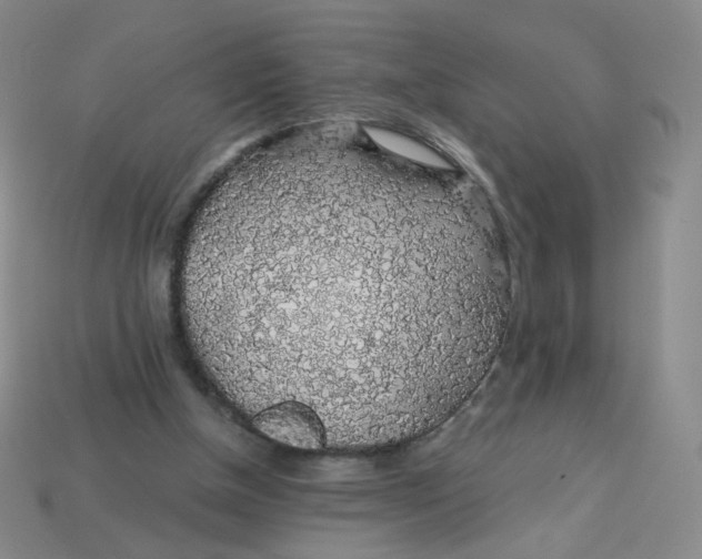 X0000113570154200910161526