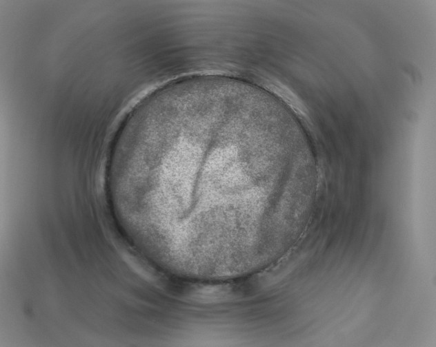 X0000113570155200910161526