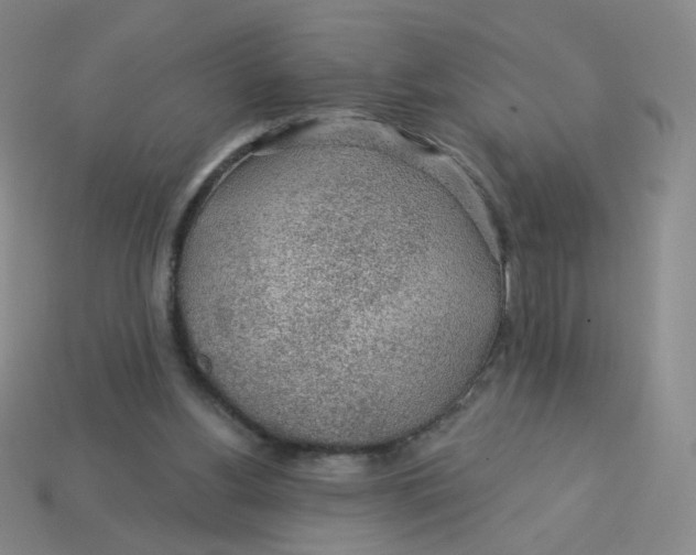 X0000113570156200910161526