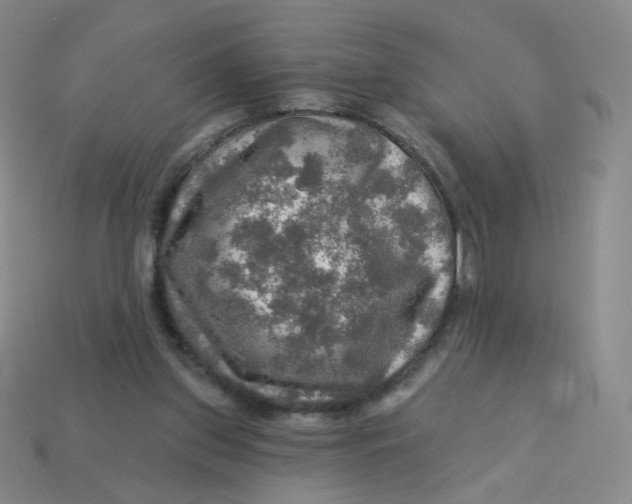 X0000113570157200910161526