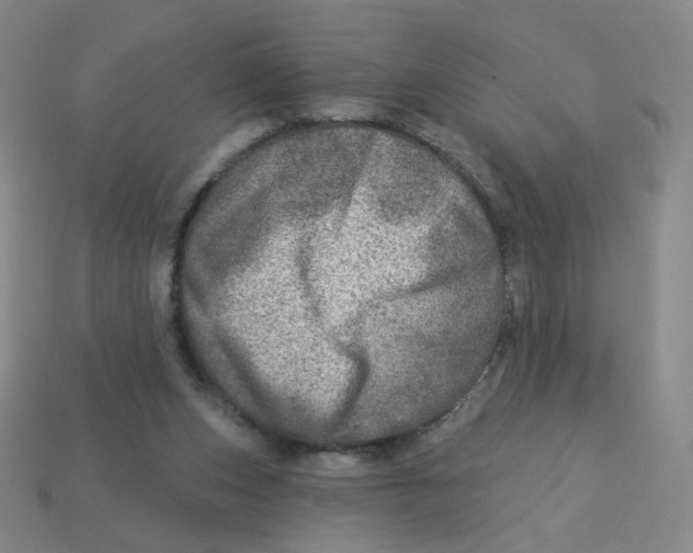 X0000113570159200910161526