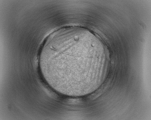 X0000113570160200910161526