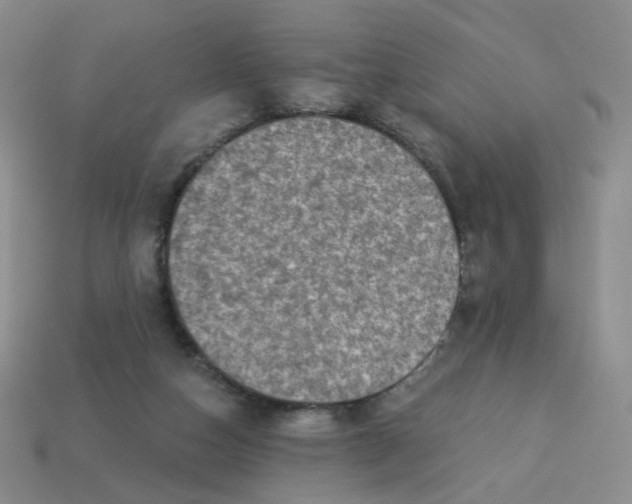 X0000113570162200910161526