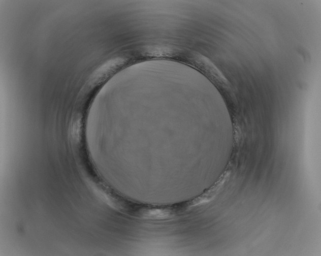 X0000113570163200910161526