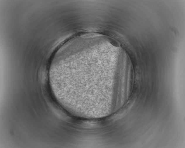 X0000113570164200910161526