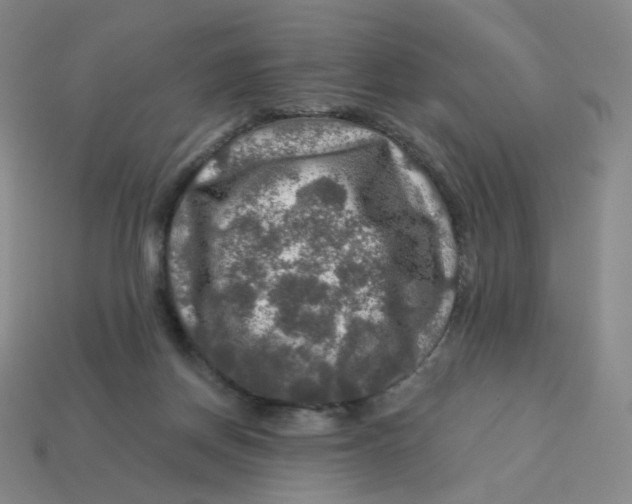 X0000113570166200910161526