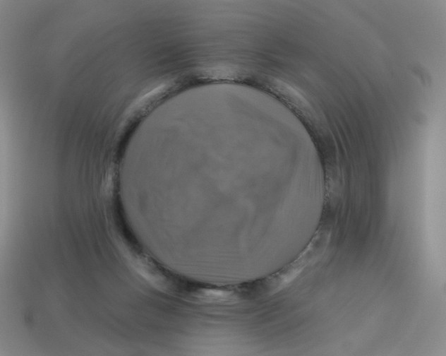 X0000113570167200910161526