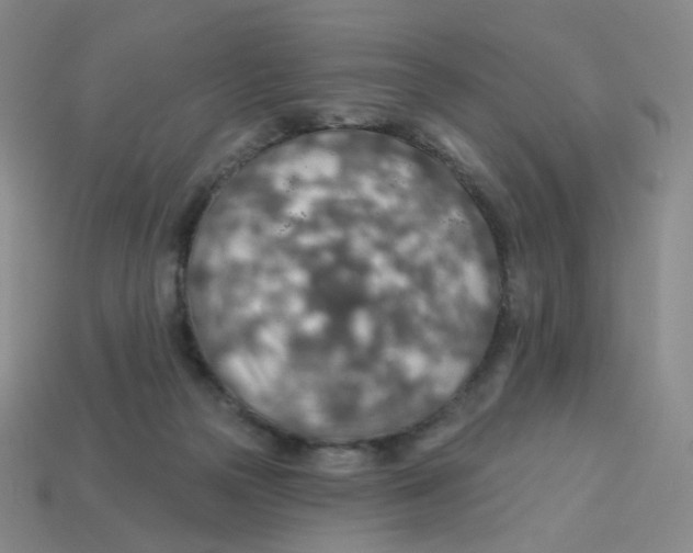 X0000113570169200910161526