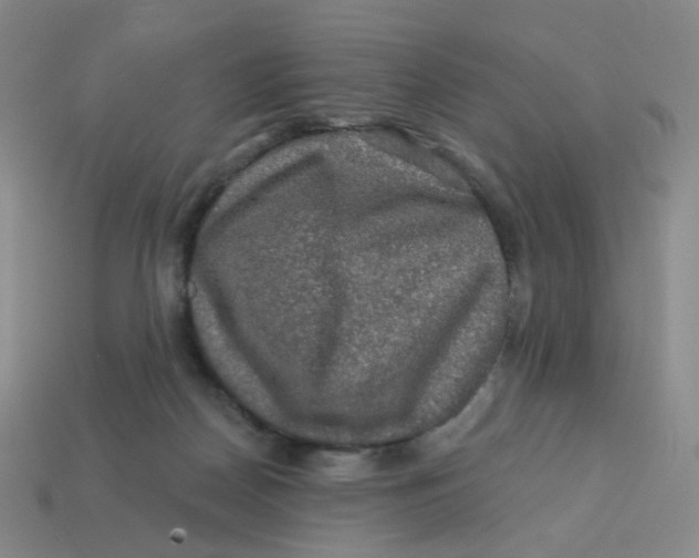 X0000113570170200910161526