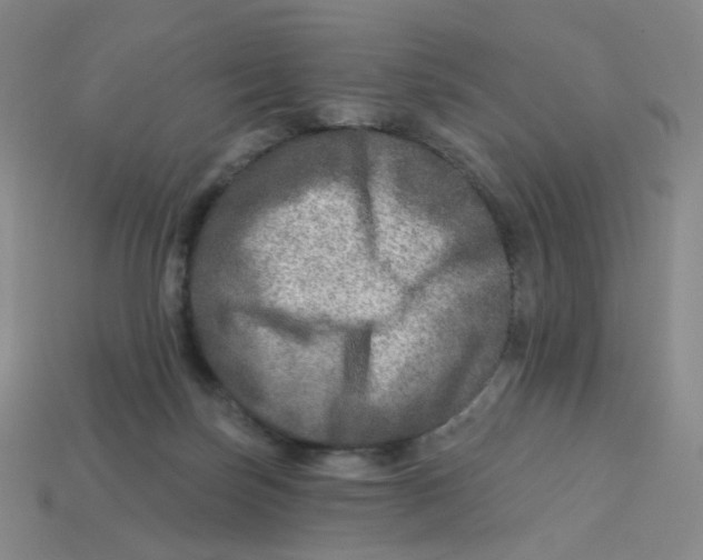 X0000113570171200910161526