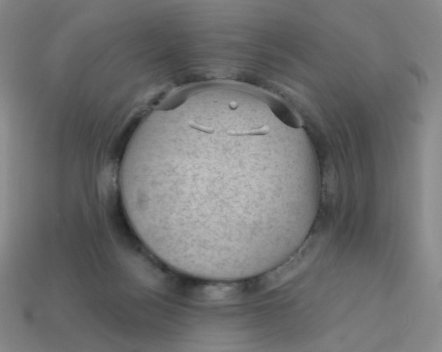 X0000113570172200910161526