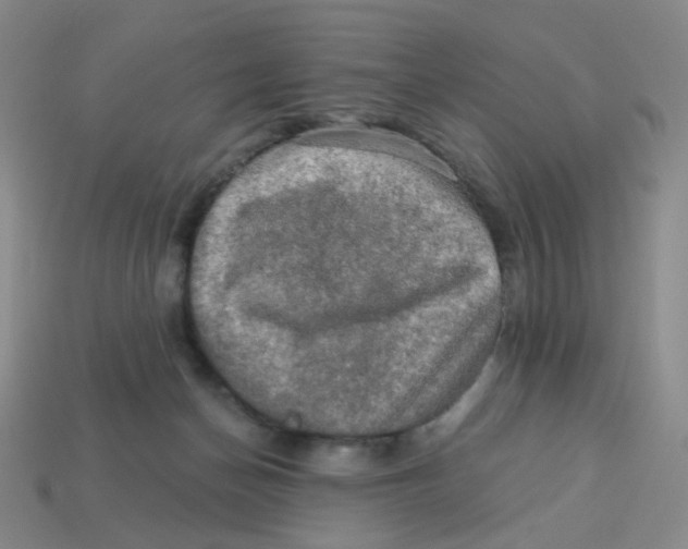 X0000113570174200910161526