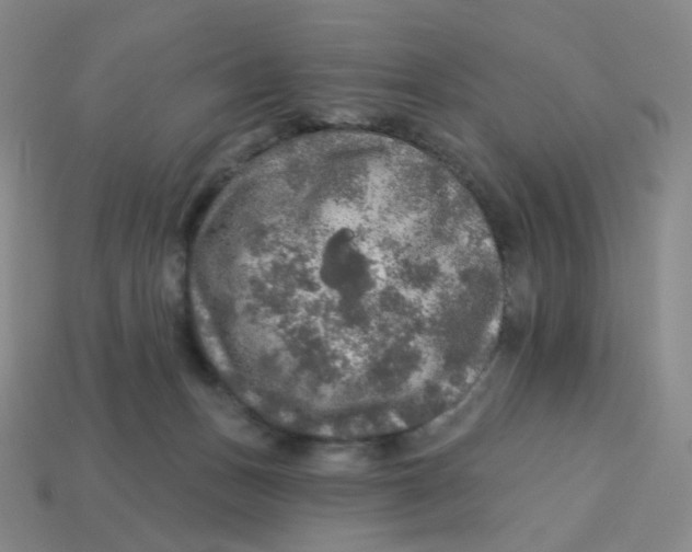 X0000113570175200910161526