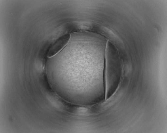 X0000113570176200910161526