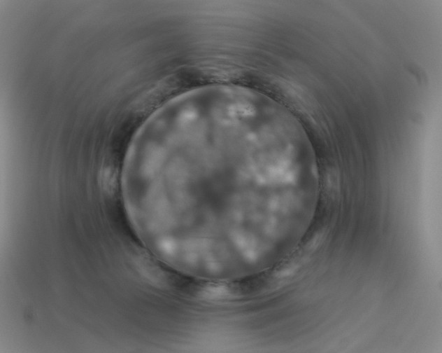 X0000113570177200910161526