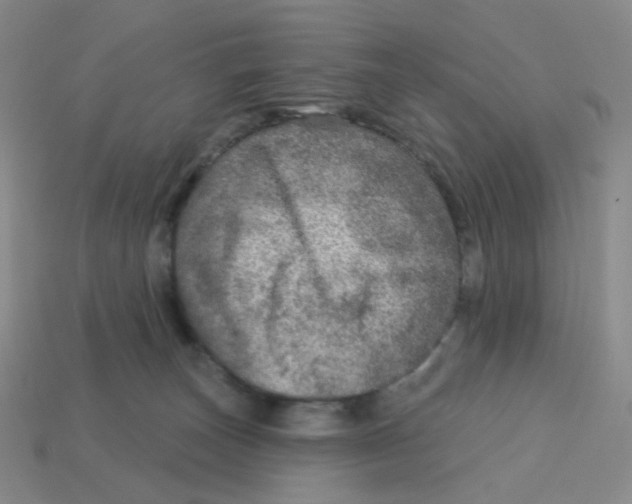 X0000113570179200910161526