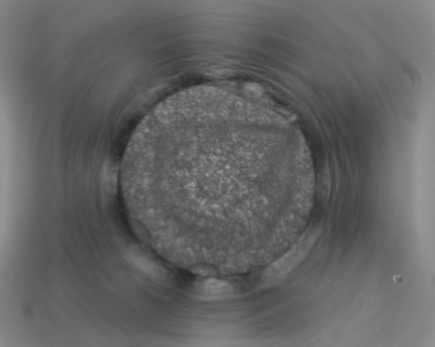 X0000113570180200910161526