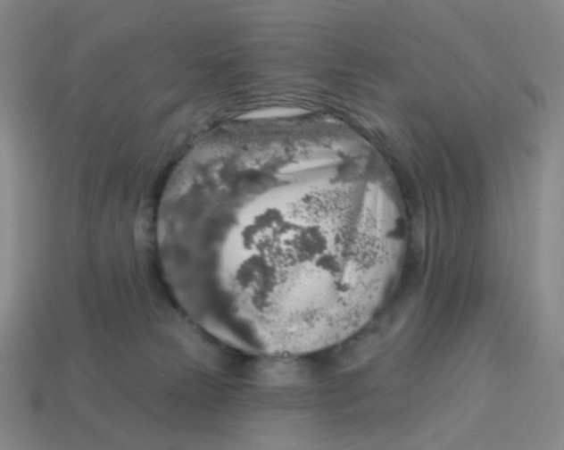 X0000113570181200910161526