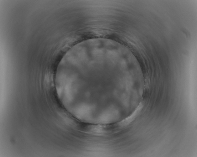 X0000113570182200910161526