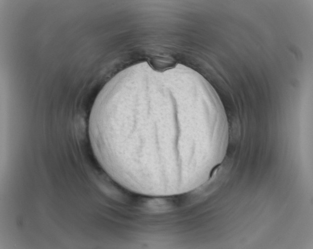 X0000113570183200910161526