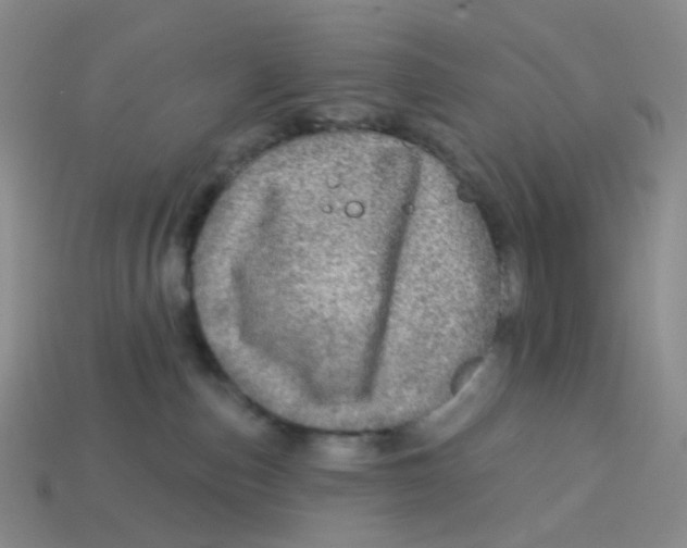 X0000113570187200910161526