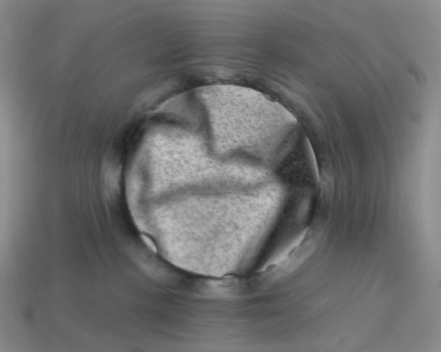 X0000113570188200910161526