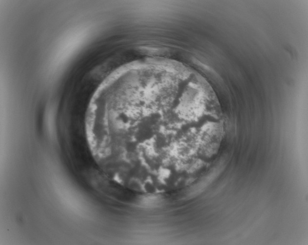 X0000113570189200910161526