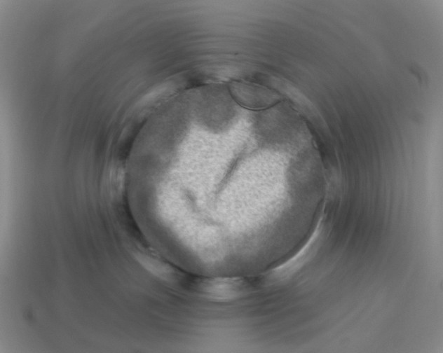 X0000113570191200910161526