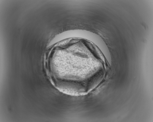 X0000113570192200910161526