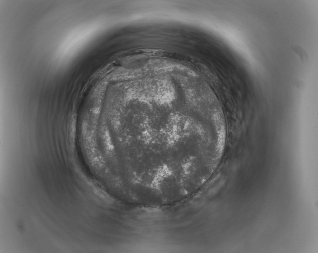 X0000113570194200910161525