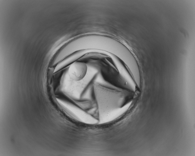 X0000113570199200910161525