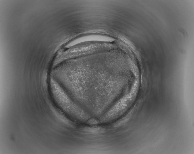 X0000113570201200910161525