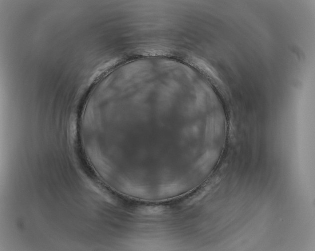 X0000113570202200910161525