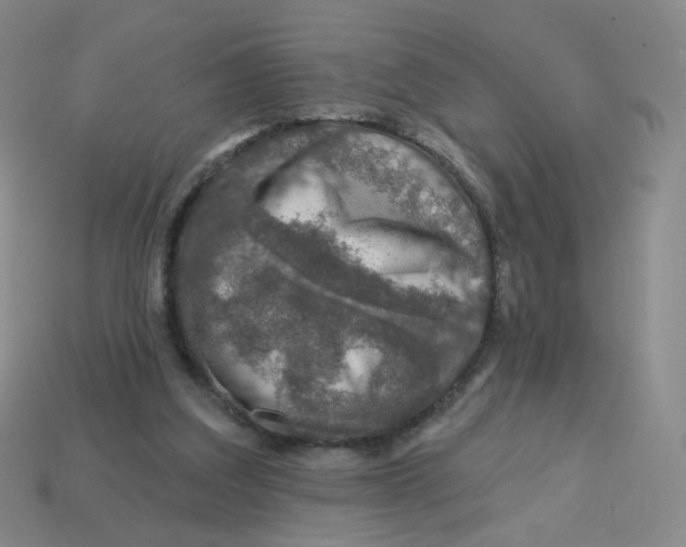 X0000113570203200910161525