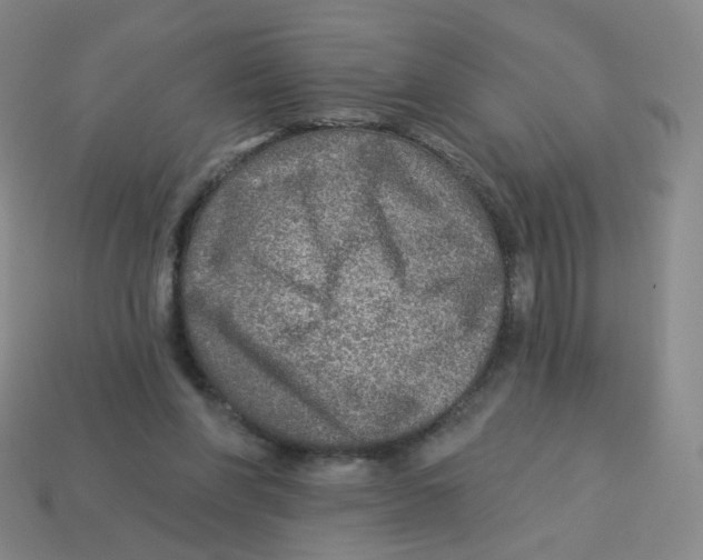 X0000113570206200910161525