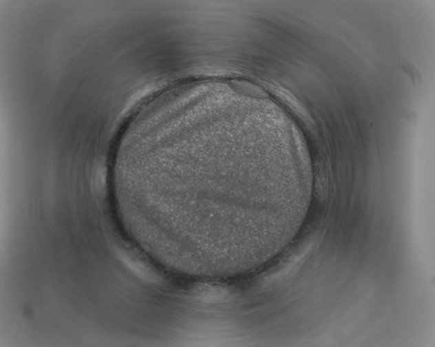 X0000113570207200910161525