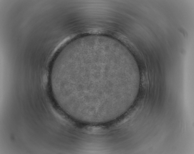 X0000113570208200910161525