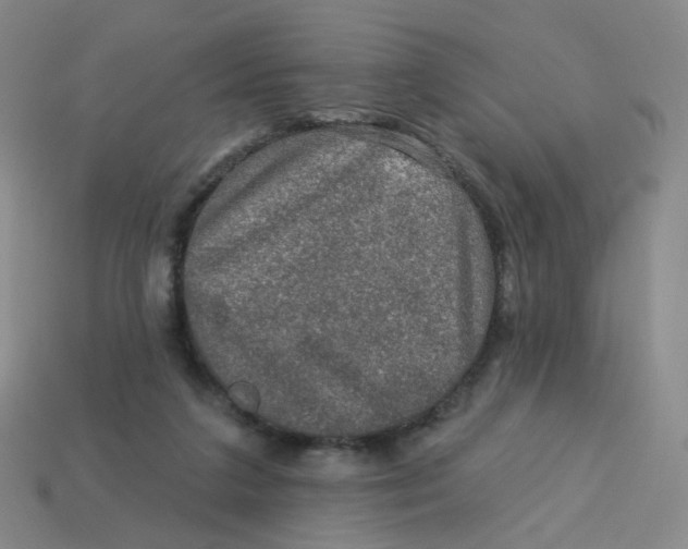 X0000113570211200910161525