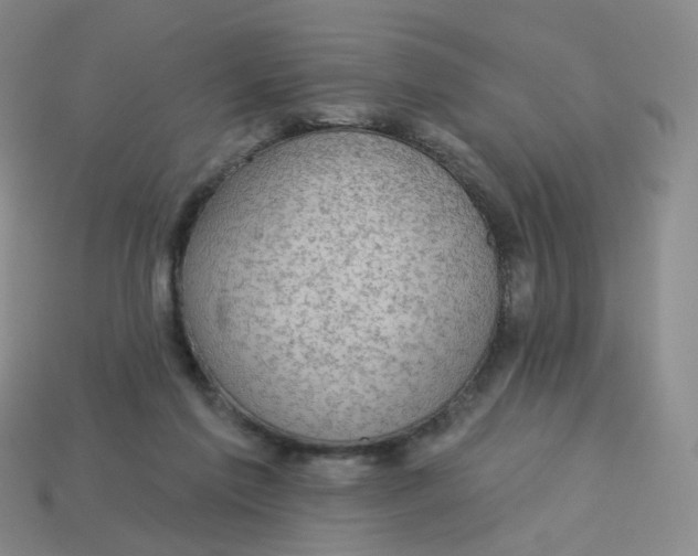 X0000113570213200910161525