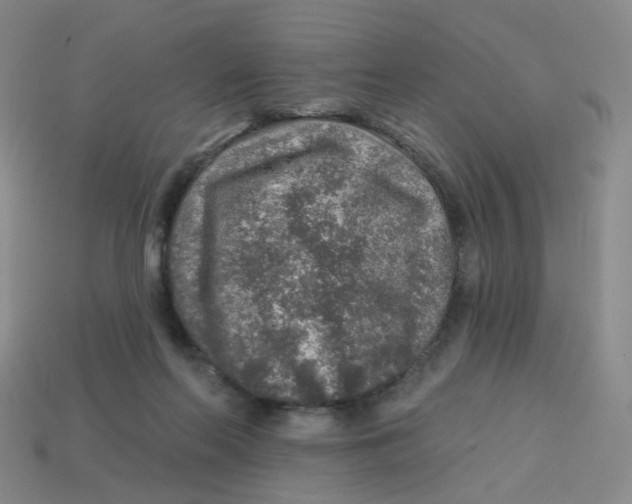 X0000113570214200910161525