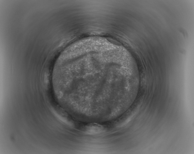 X0000113570215200910161525