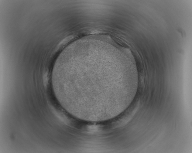 X0000113570216200910161525