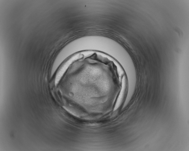 X0000113570217200910161525