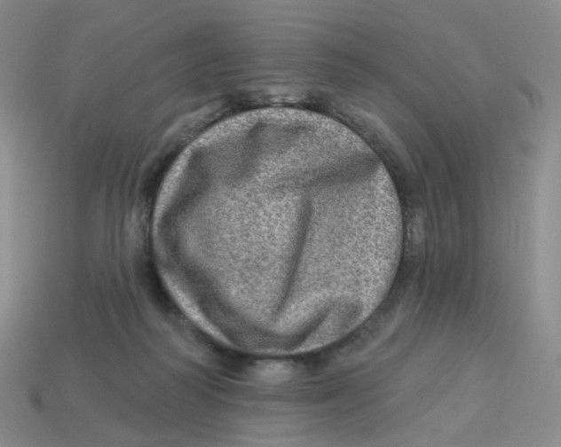 X0000113570218200910161525