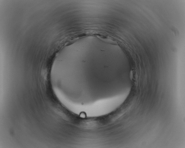 X0000113570219200910161525